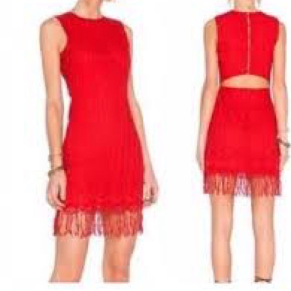 Lovers + Friends Vibrant Red Floral Mini Skirt
Womens lace Fringe Sz s - Picture 5 of 7